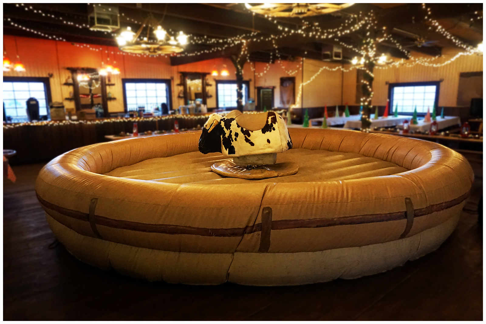  mechanical bull rental bergen county nj